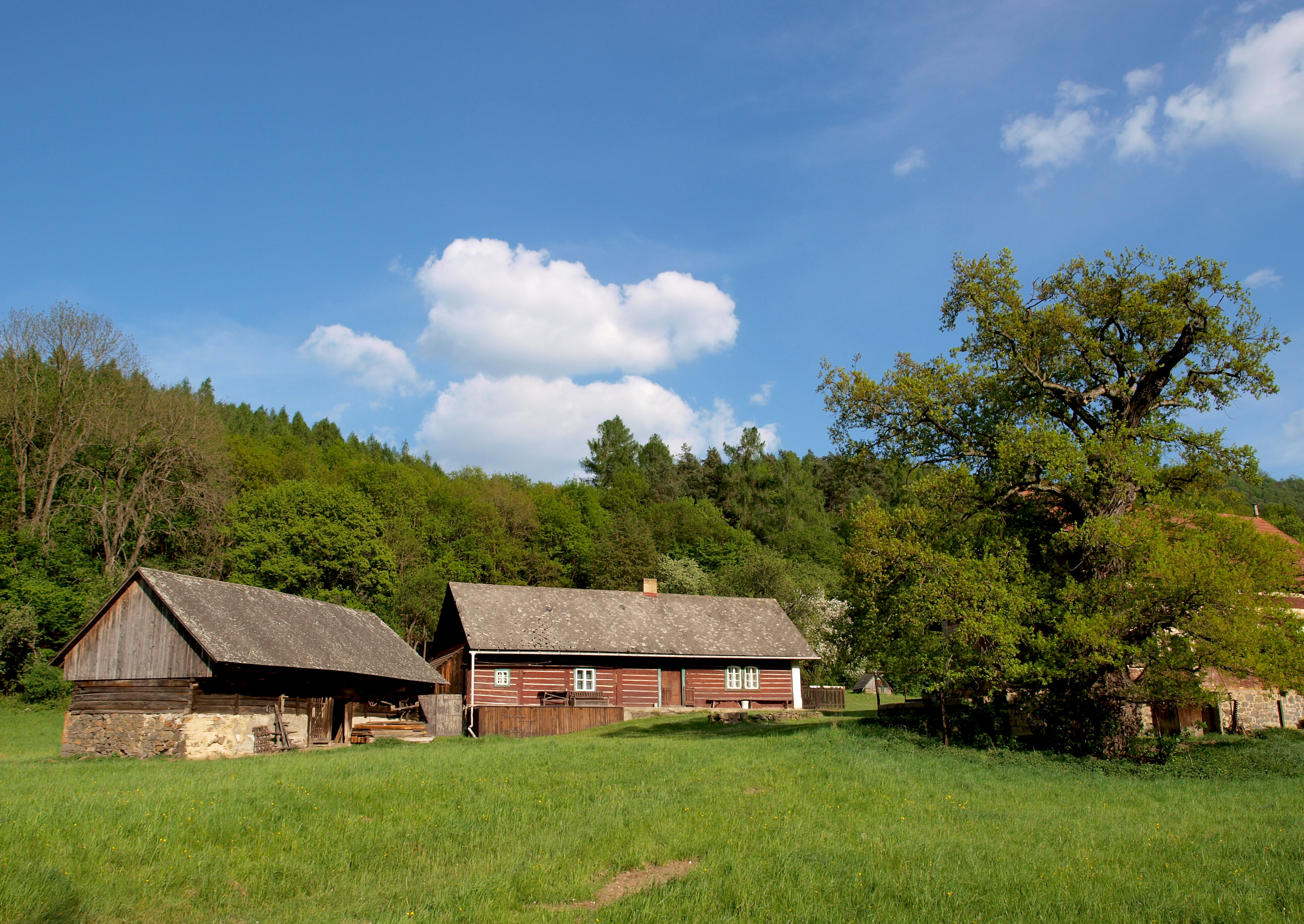 VNS - Kouřimecká rybárna.